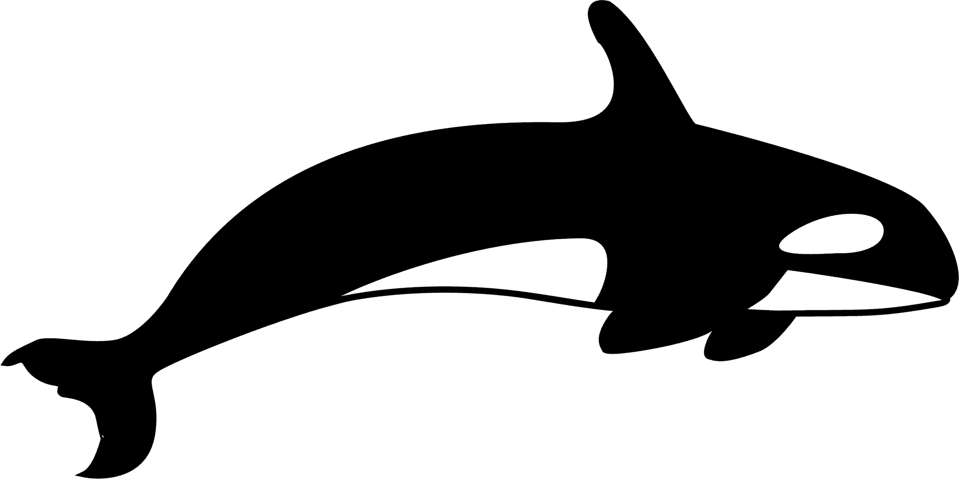 Orca Whale Clipart PNG