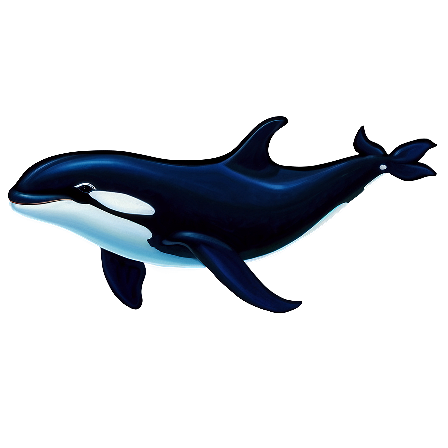 Orca With Calf Png Vqj PNG