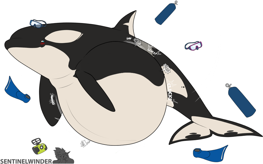 Orca_with_ Diving_ Equipment_ Illustration PNG