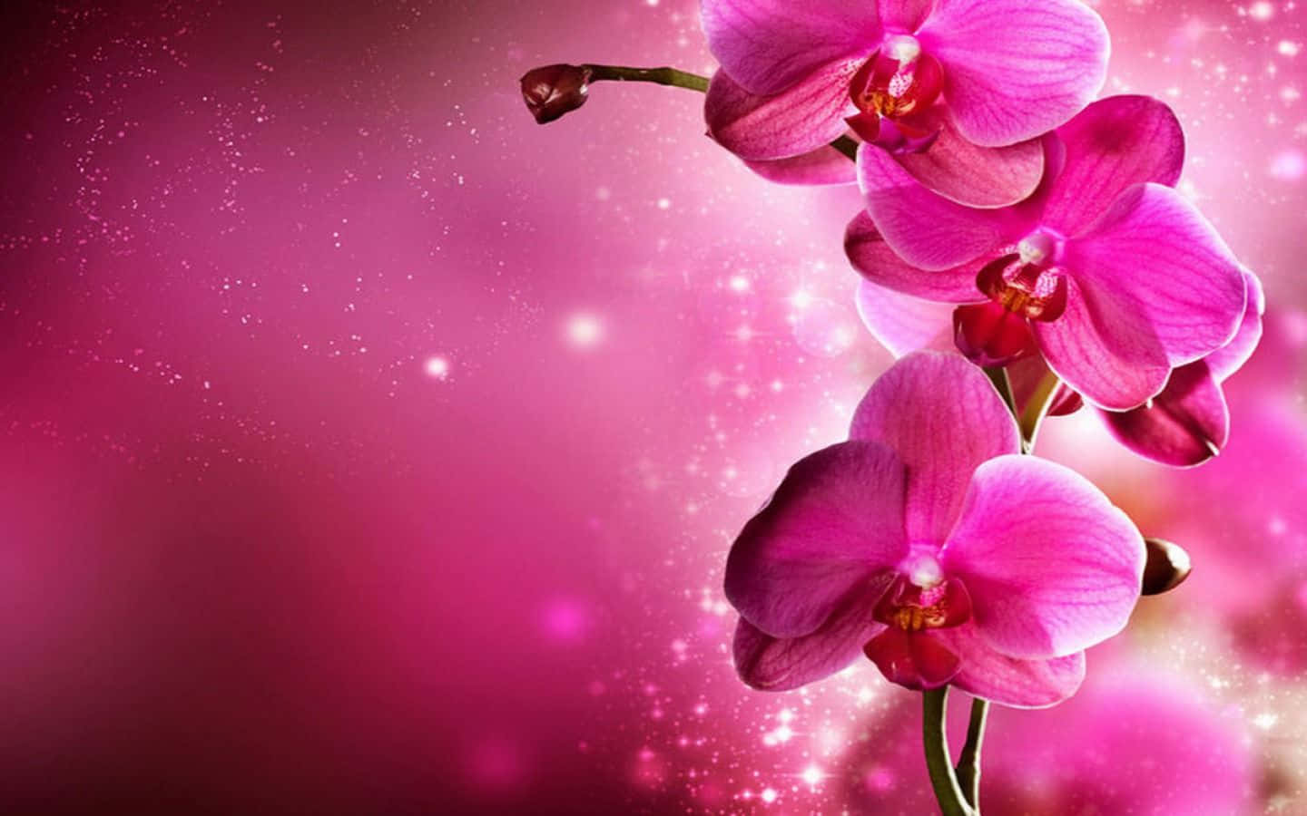 Premium Photo  Branch of orchid flowers in neon light close up