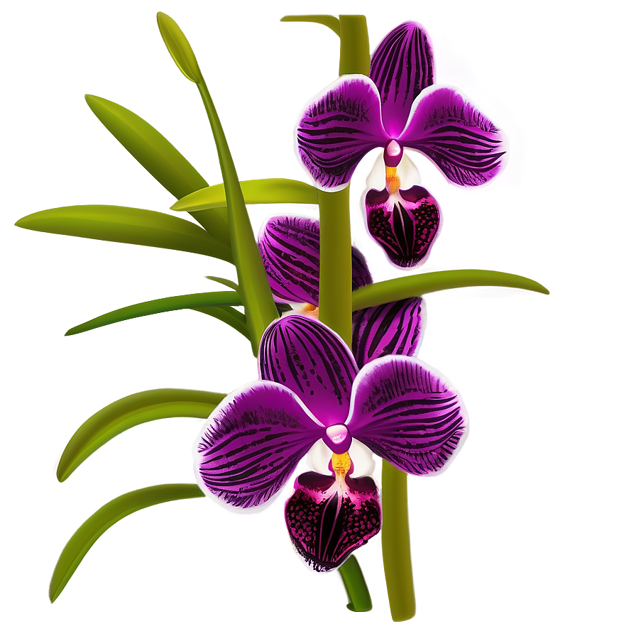 Orchid Bouquet Png Mch PNG