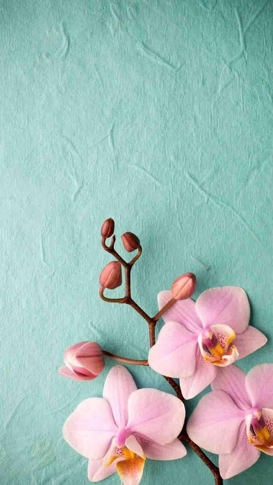 Orchid Cell Phone Image Background