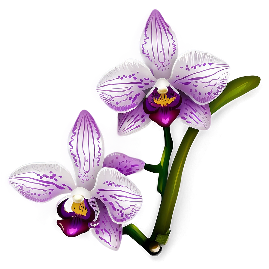 Orchid Clipart Png 92 PNG