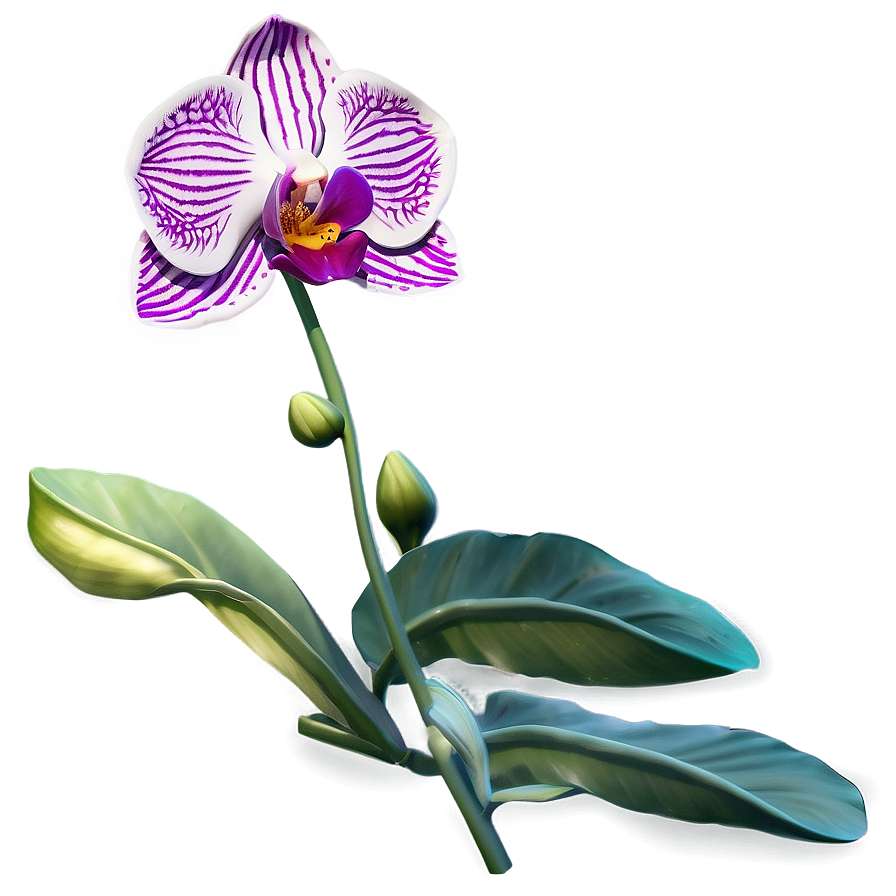Orchid Emblem Png Afq64 PNG