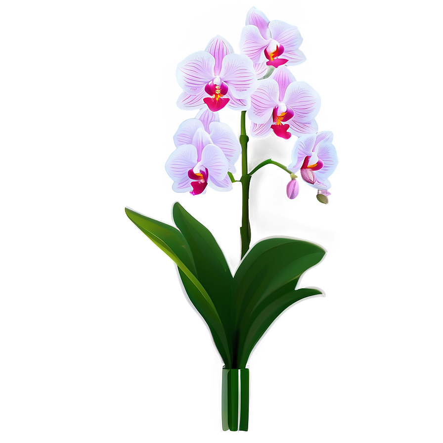 Orchid Flower Bush Png Jqp PNG