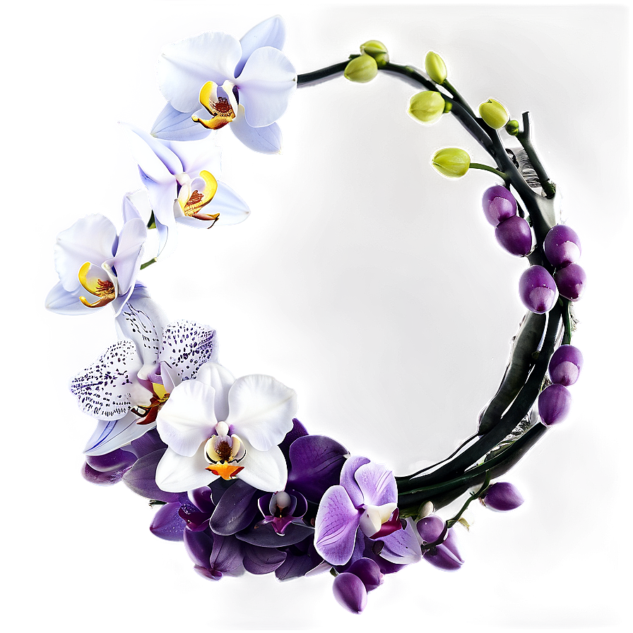 Orchid Flower Circle Png 69 PNG