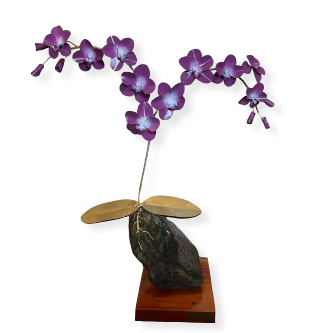 A Purple Orchid On A Rock With A Black Base