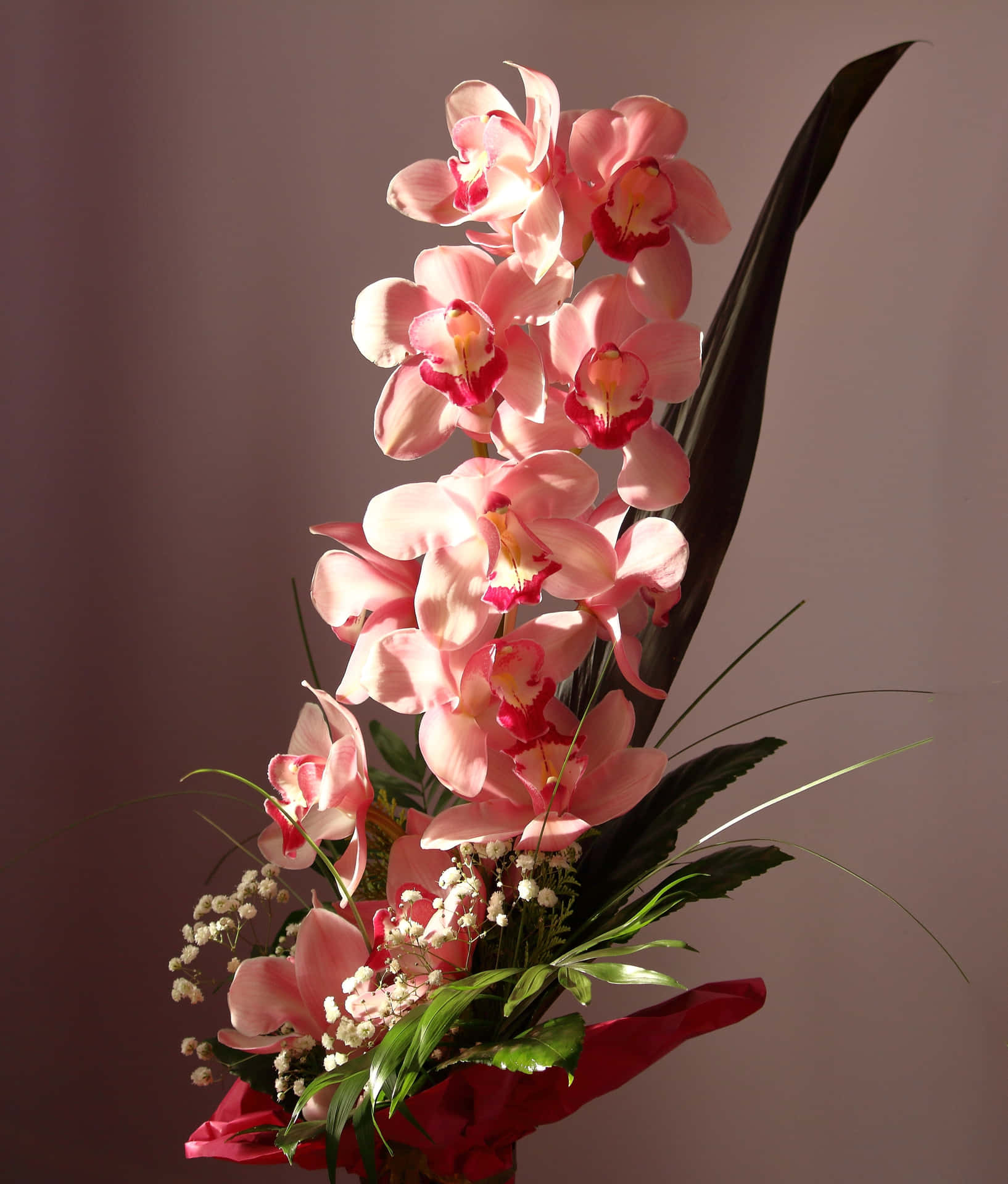 Unbellissimo Fiore Di Orchidea Viola E Gialla