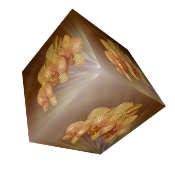 Orchid Illusion Cube PNG