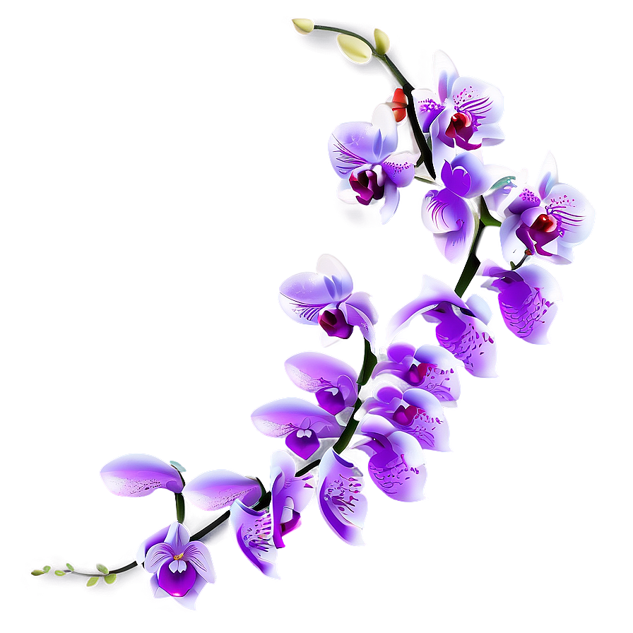 Orchid Illustration Png Ksx73 PNG