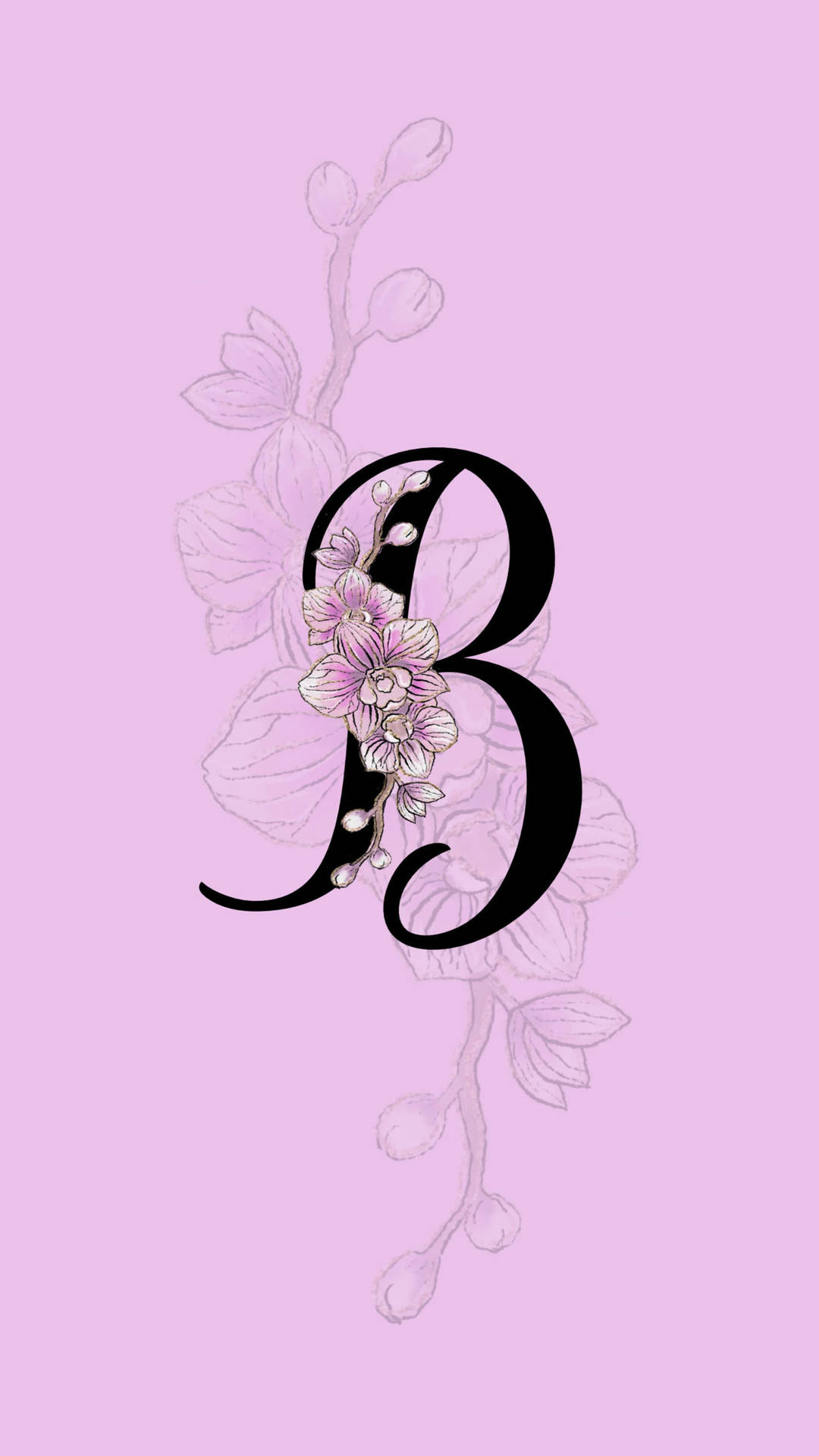 Orchid Letter B