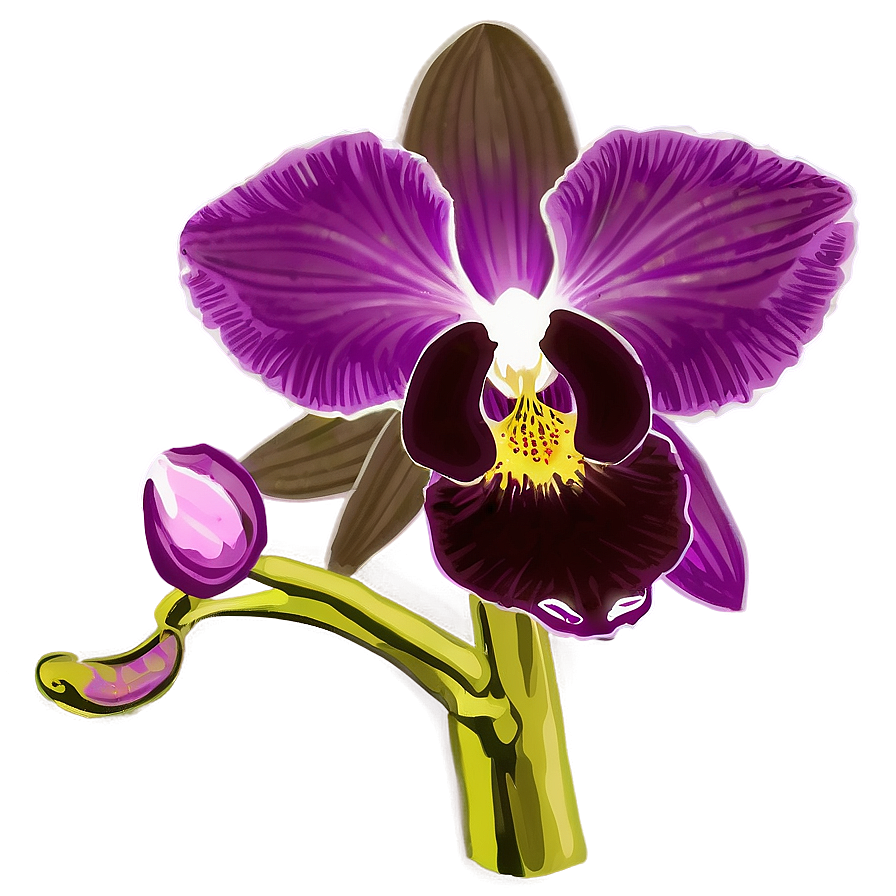 Download Orchid Purple Png 05242024 | Wallpapers.com