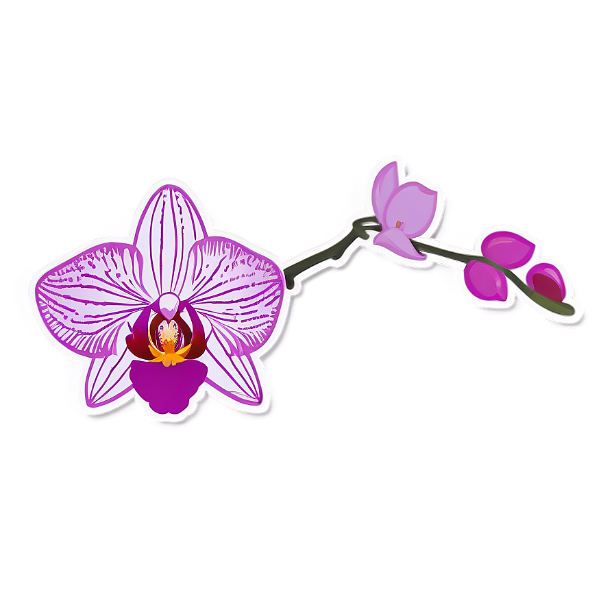Orchid Sticker Image Png 06272024 PNG