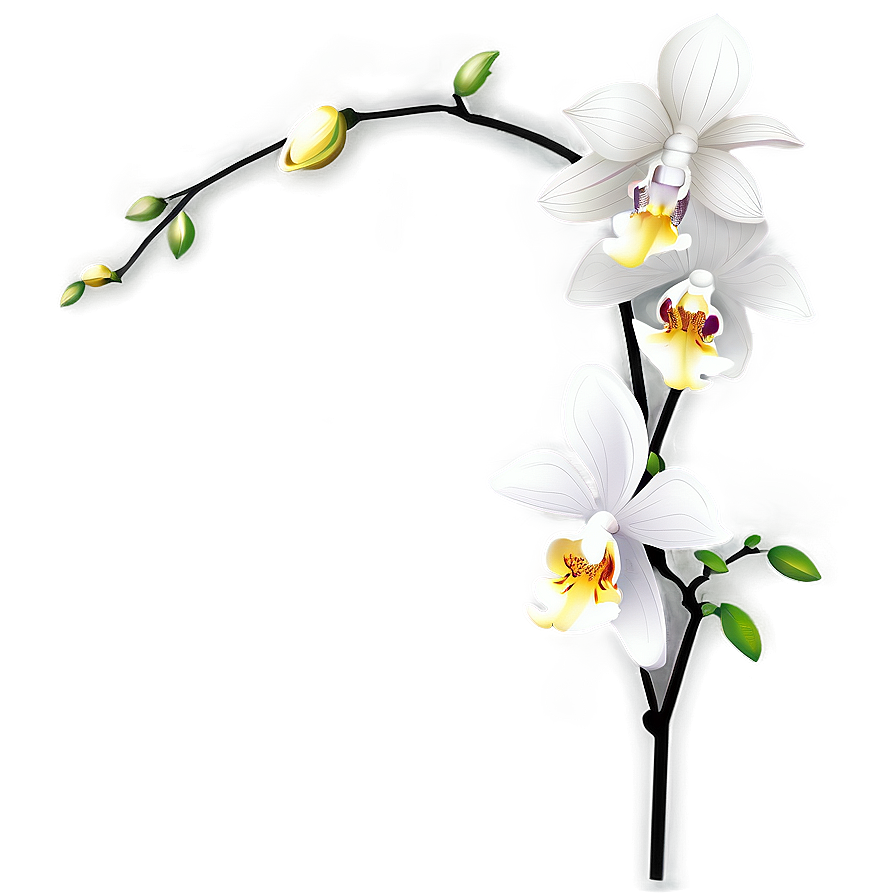 Orchid Vector Png Ahi33 PNG