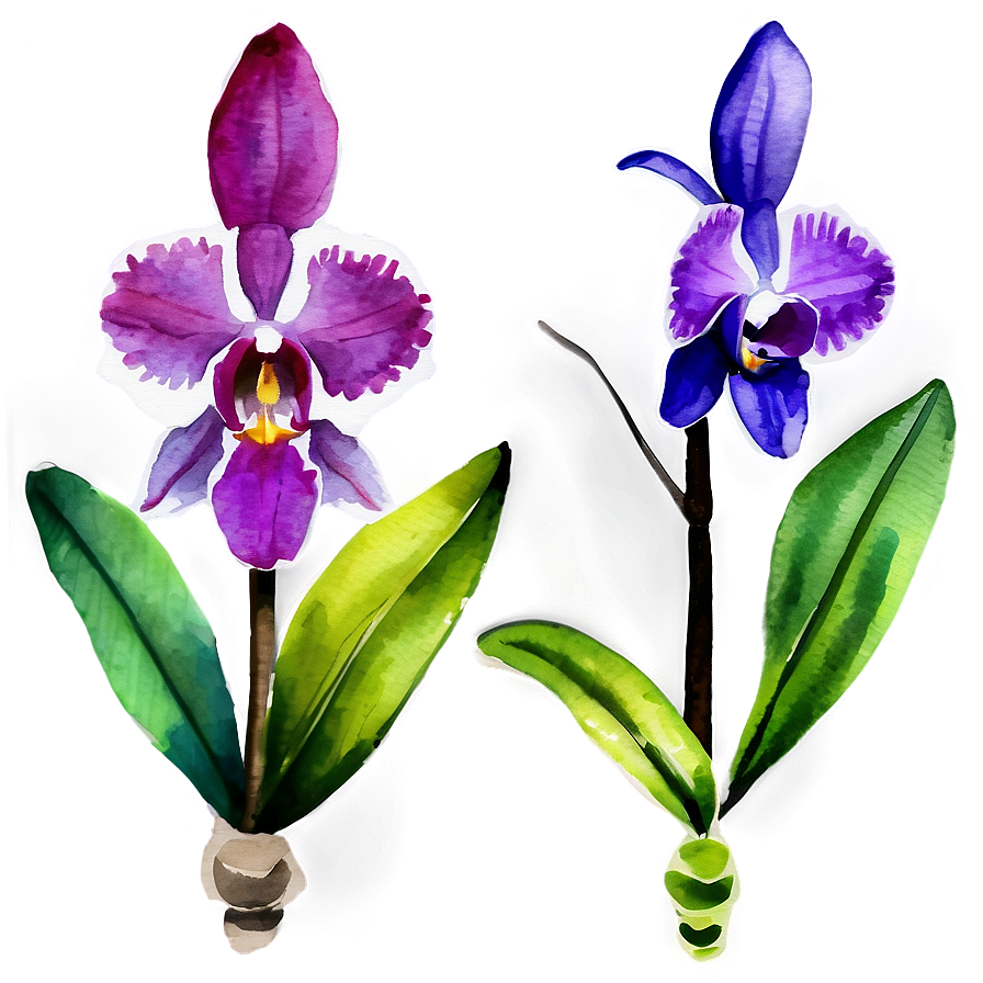 Orchid Watercolor Png 87 PNG
