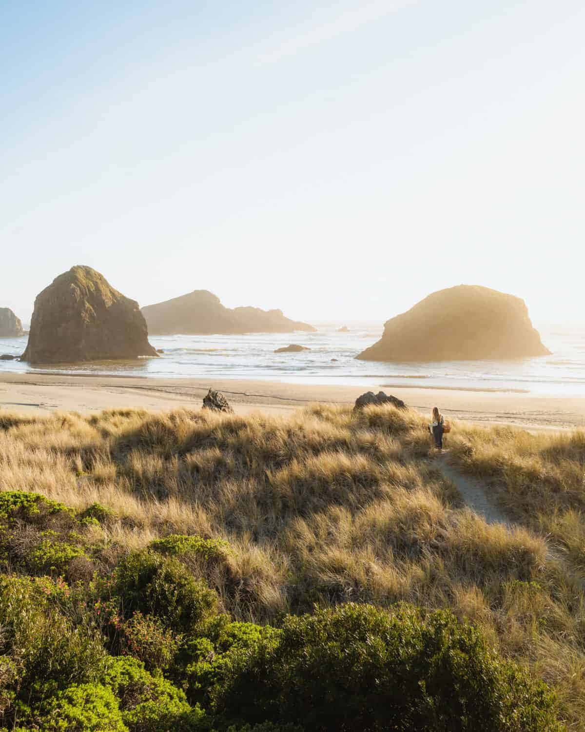 A Person Is Walking Along A Path Near A Beach