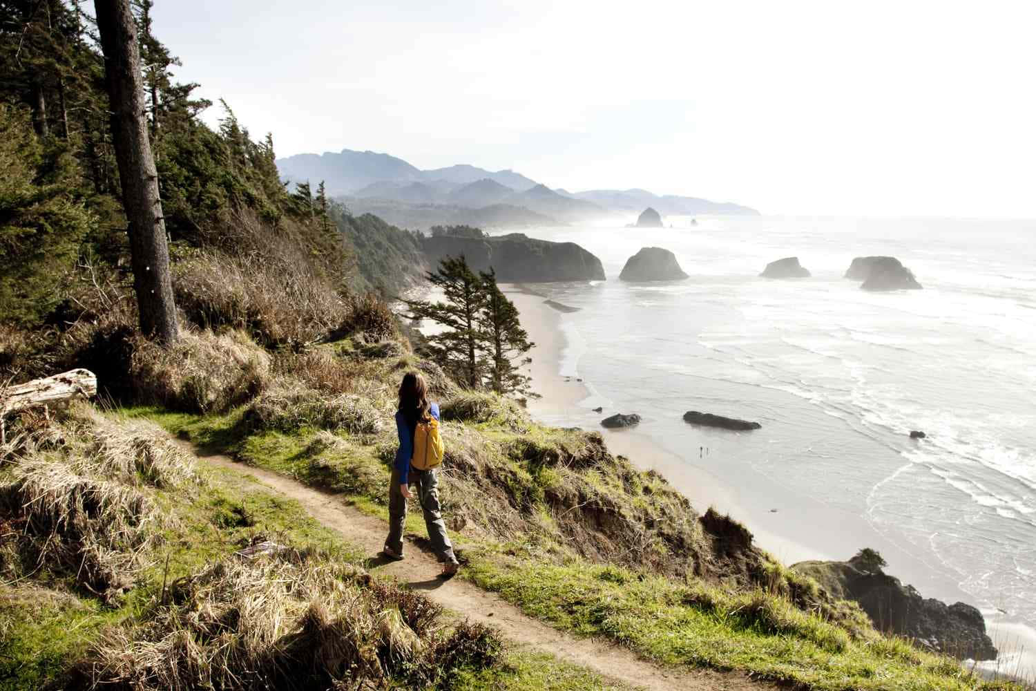 Utforskaden Vilda Skönheten På Oregons Kust