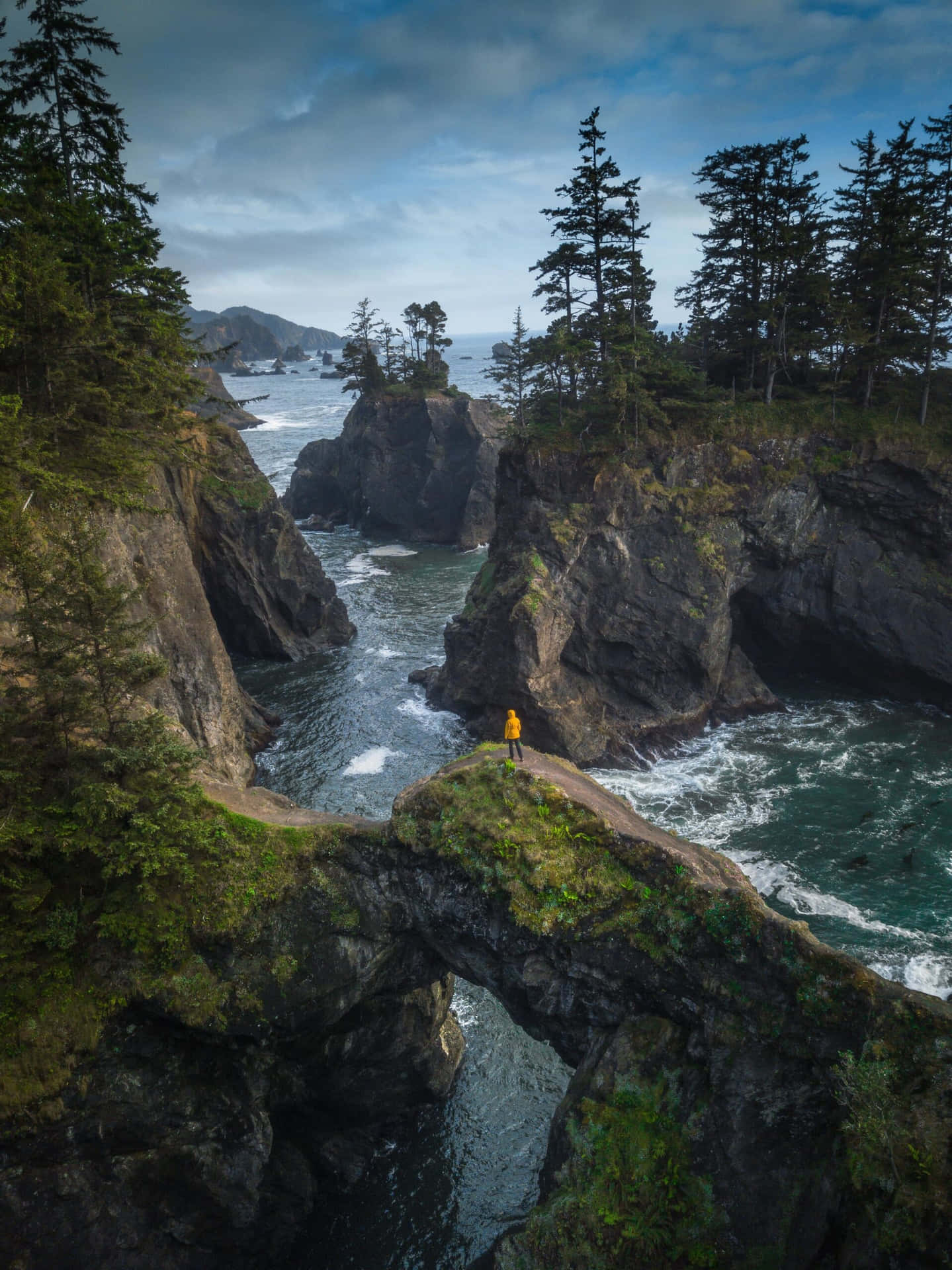 A Person Standing On A Cliff Overlooking The Ocean