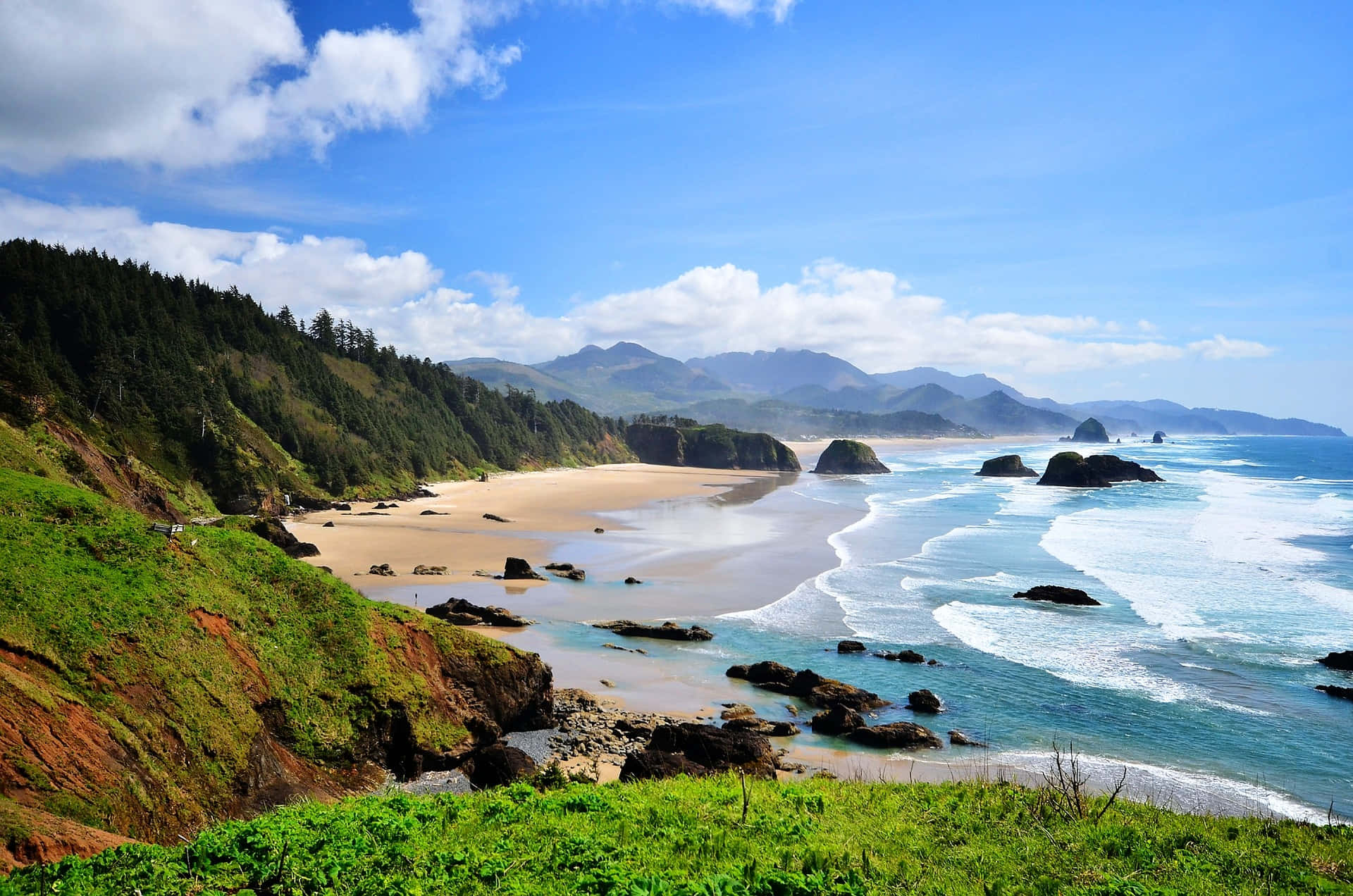 Sentirsepequeño Entre La Inmensa Belleza De La Costa De Oregón