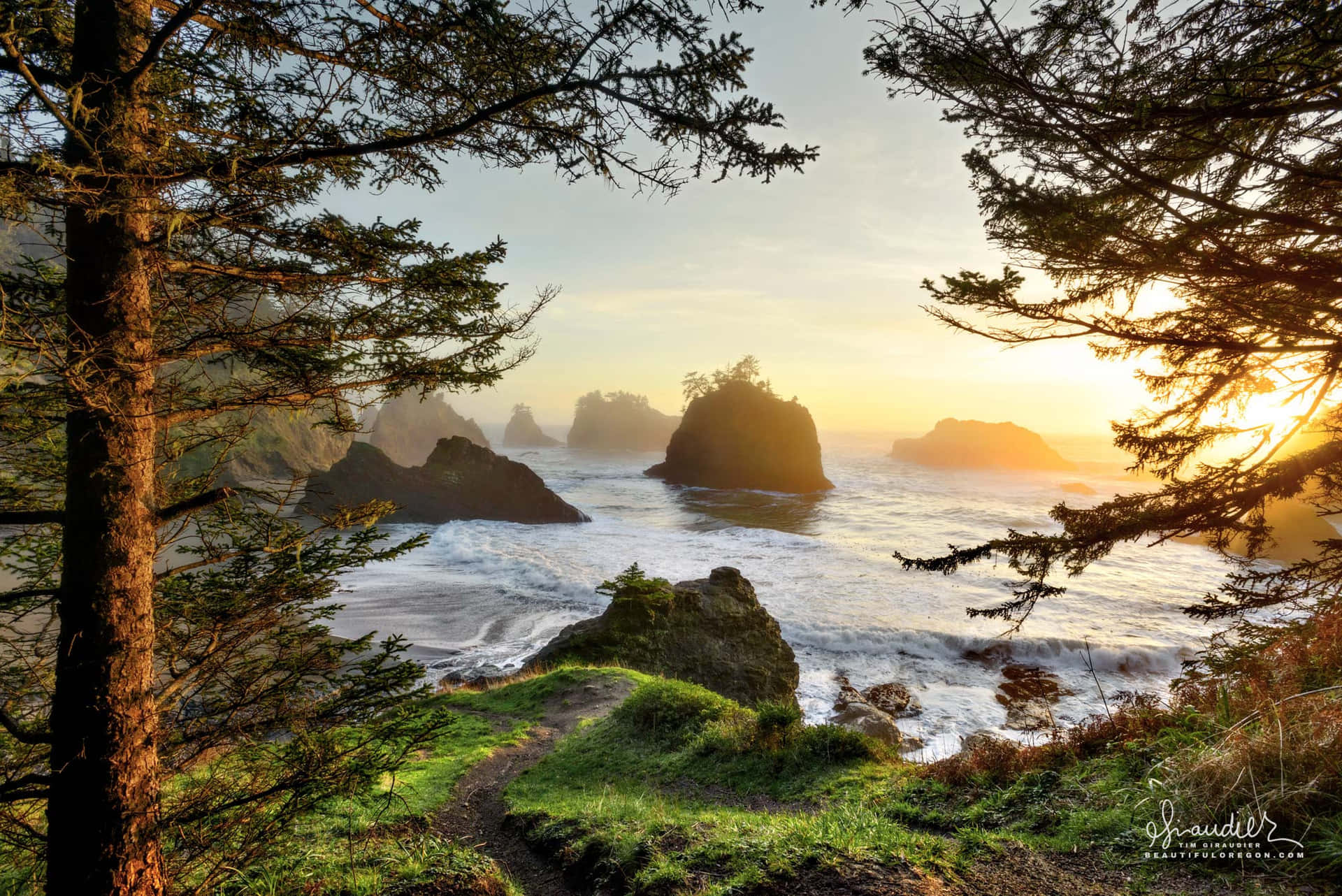 Godendodella Pittoresca Vista Della Costa Dell'oregon