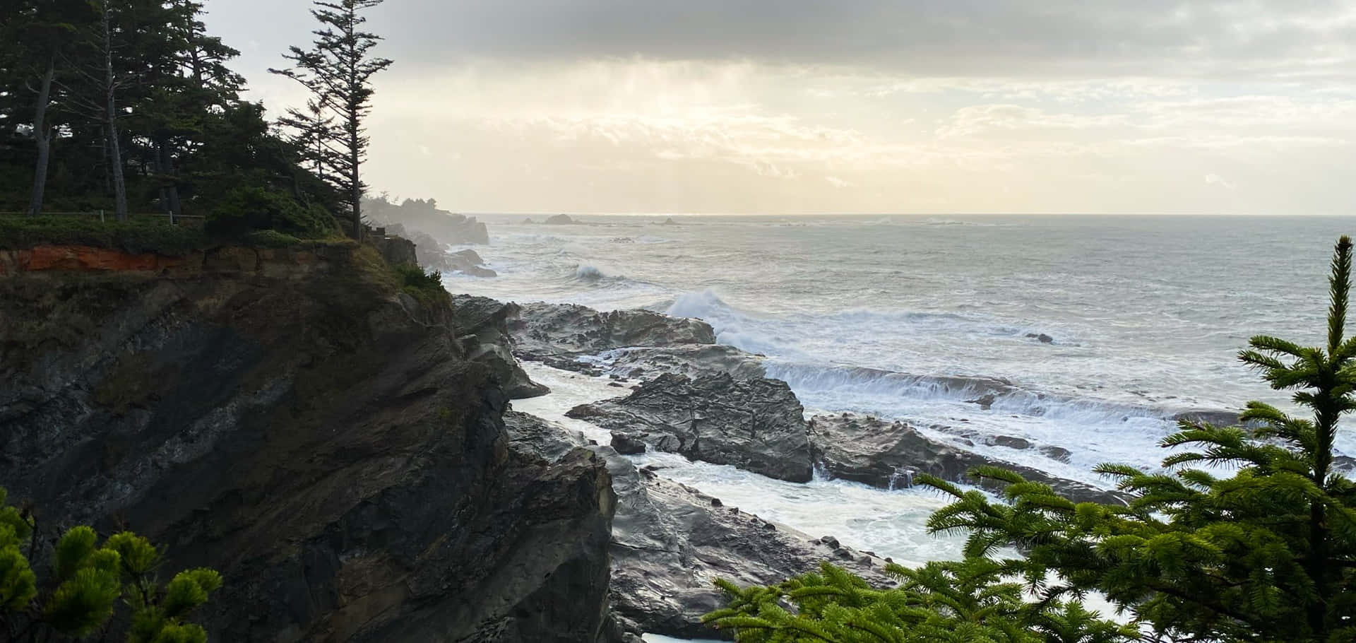 The Oregon Coast's Natural Beauty