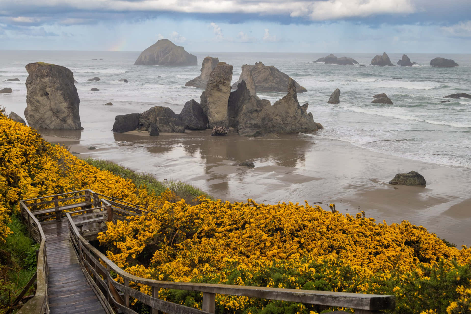 Experience the Beauty of the Oregon Coast