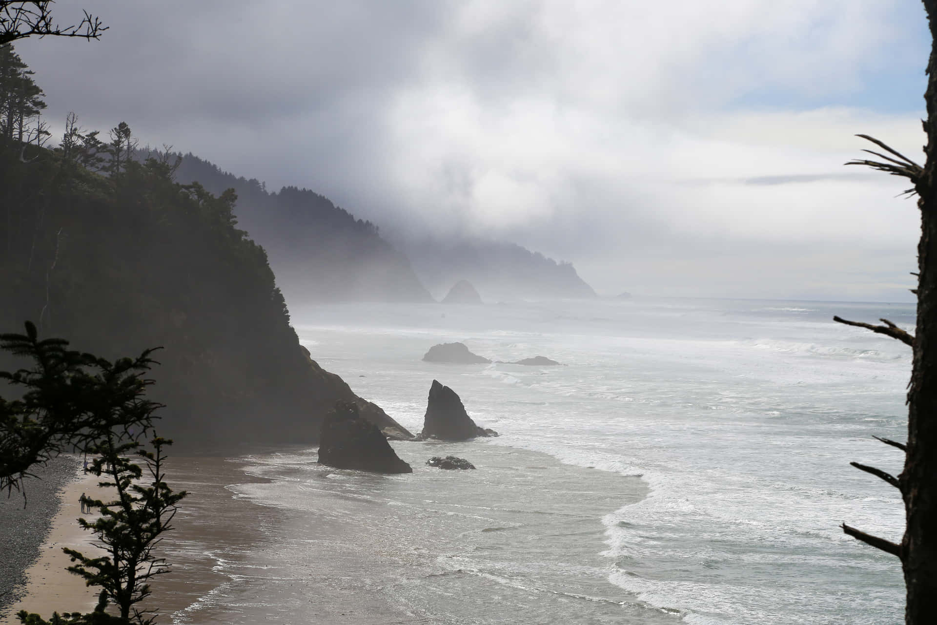 A Rocky Beach With Trees And A Cloudy Sky