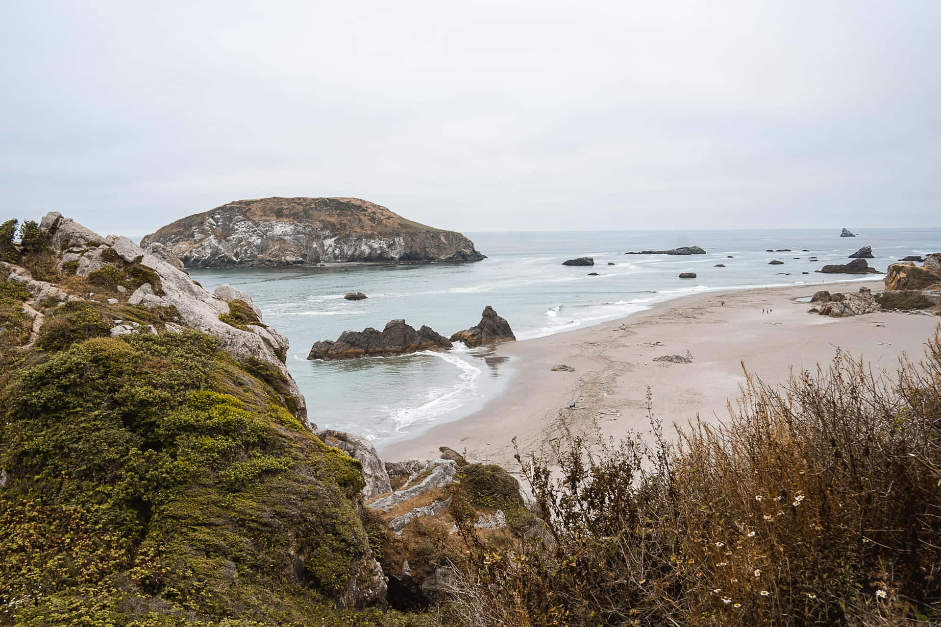 Faiun Viaggio Alla Costa Dell'oregon.