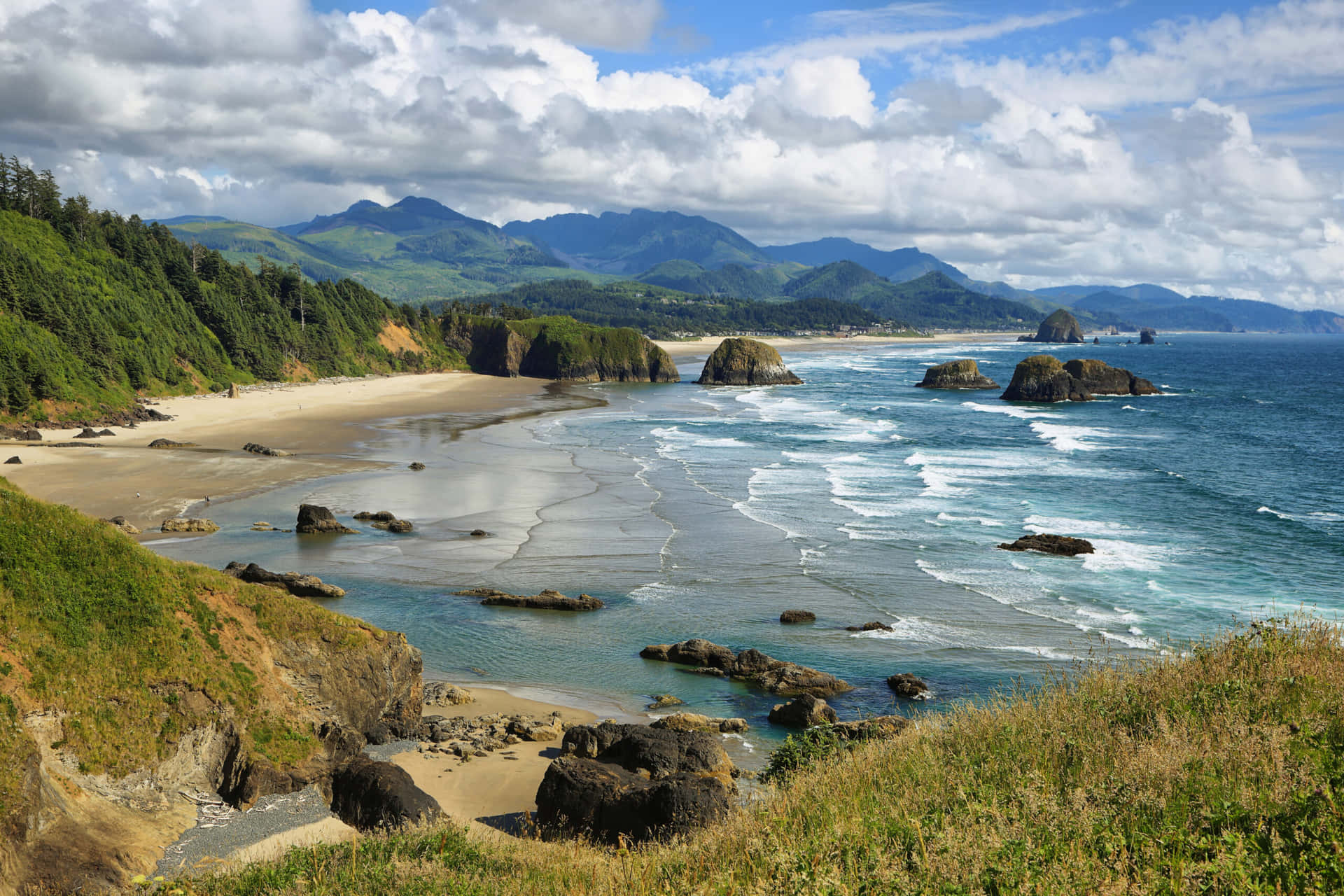 Explore the majestic Oregon Coast