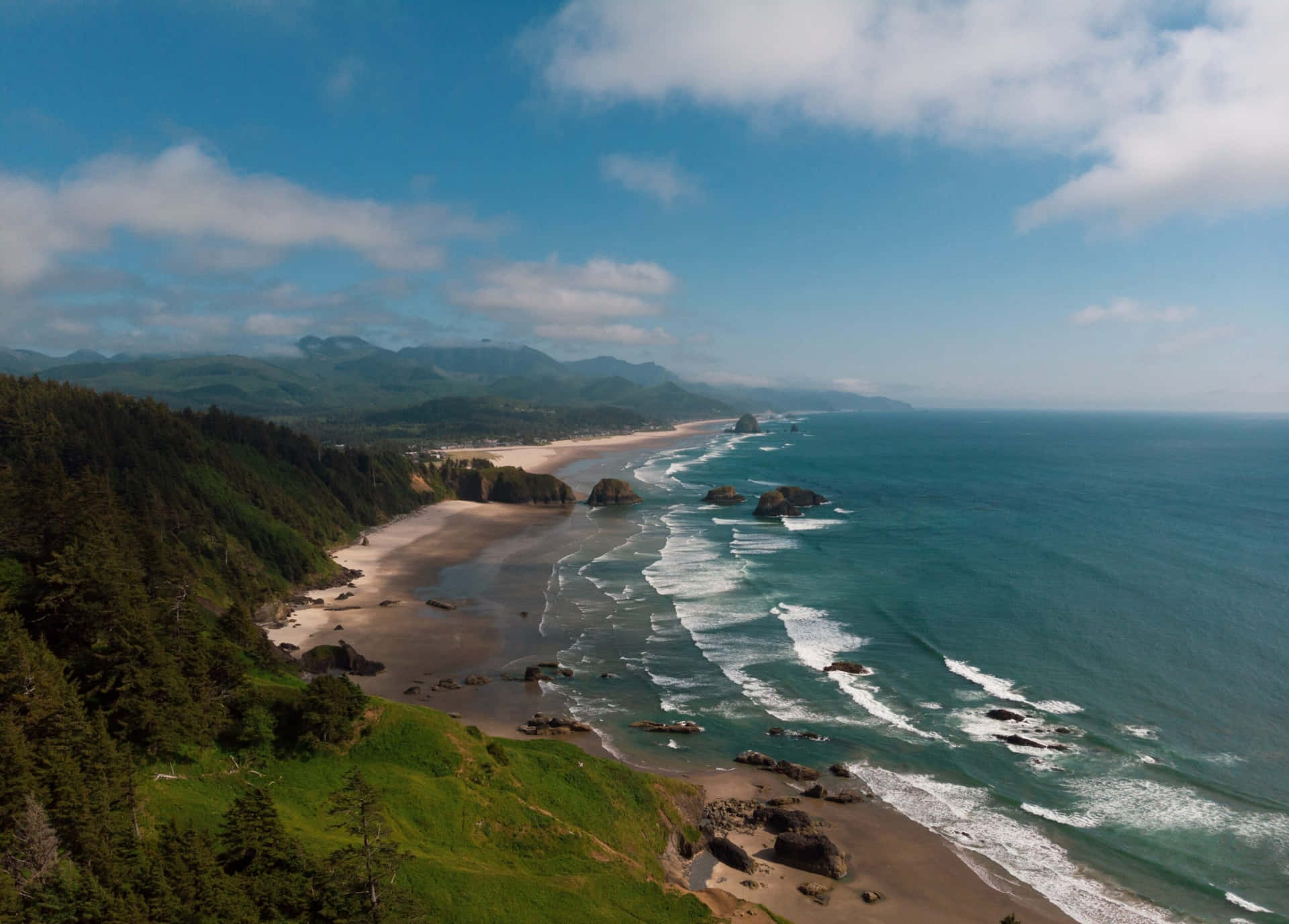 Enfantastisk Vy Över Oregon Coast