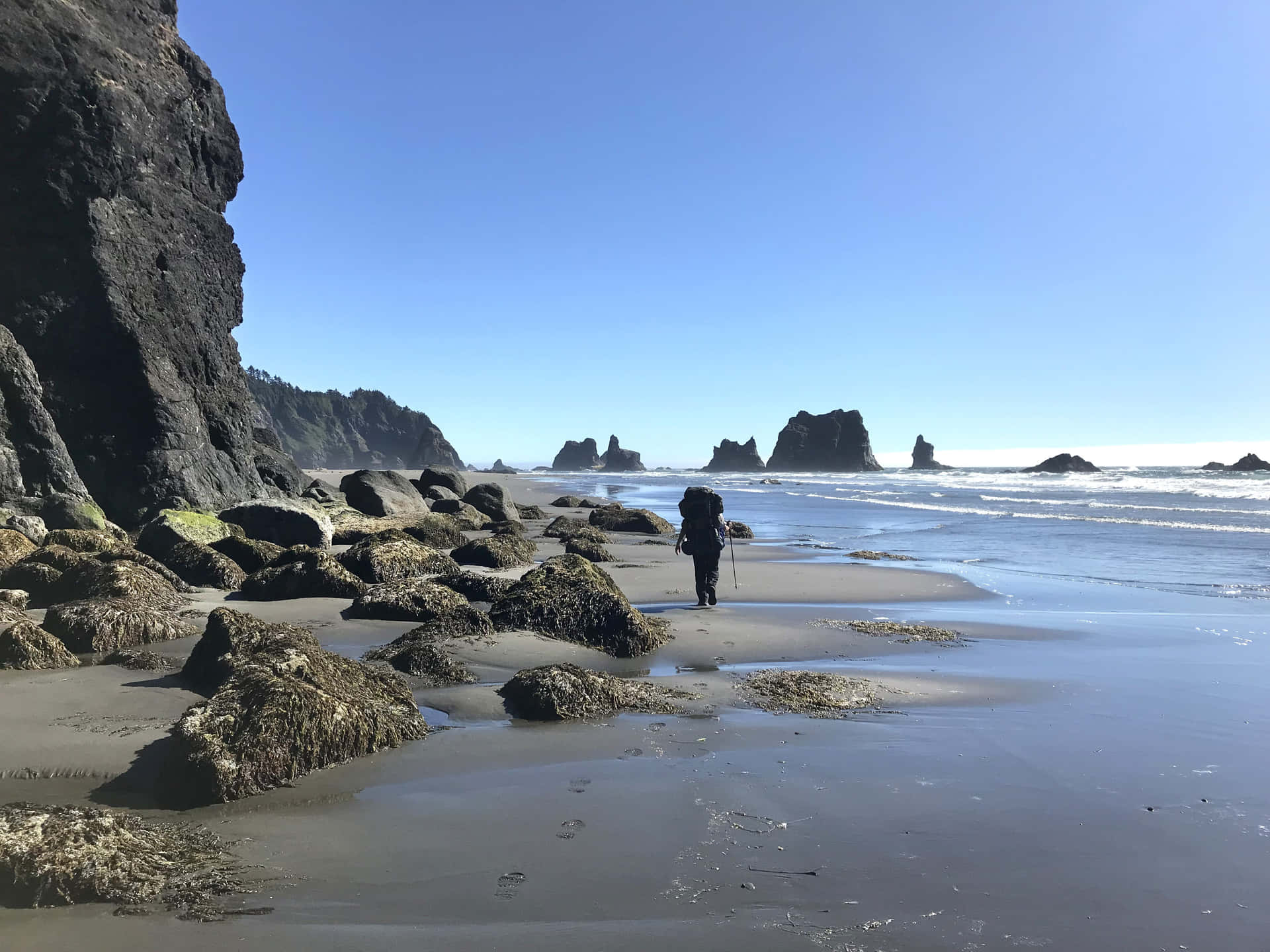 Magnifiksoluppgång Över Den Naturliga Skönheten Vid Oregons Kust