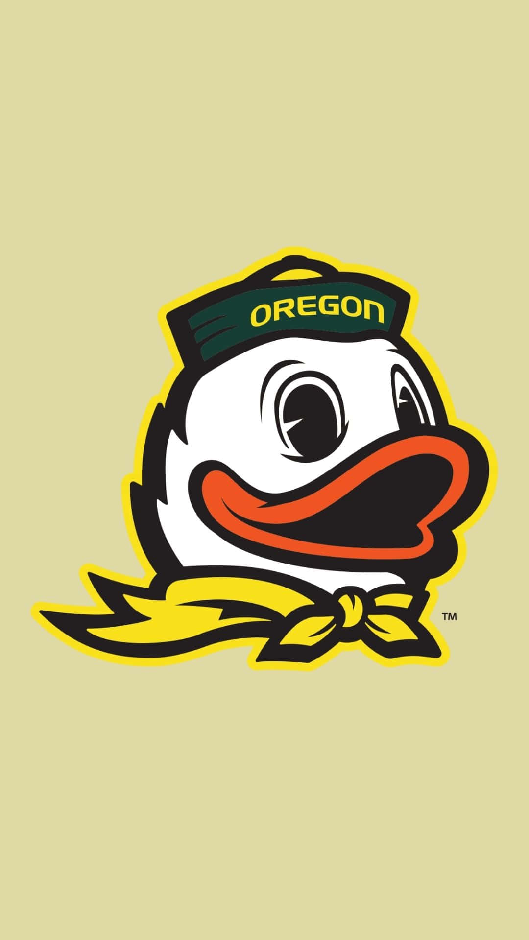 OREGON DUCKS college football duck wallpaper  2048x1152  592688   WallpaperUP