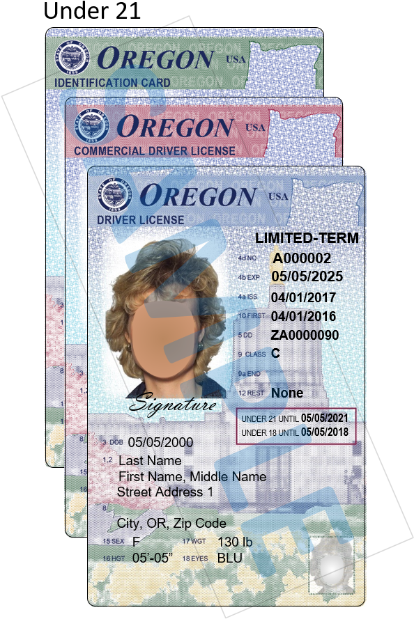 Oregon I Dand Driver Licenses Stack PNG