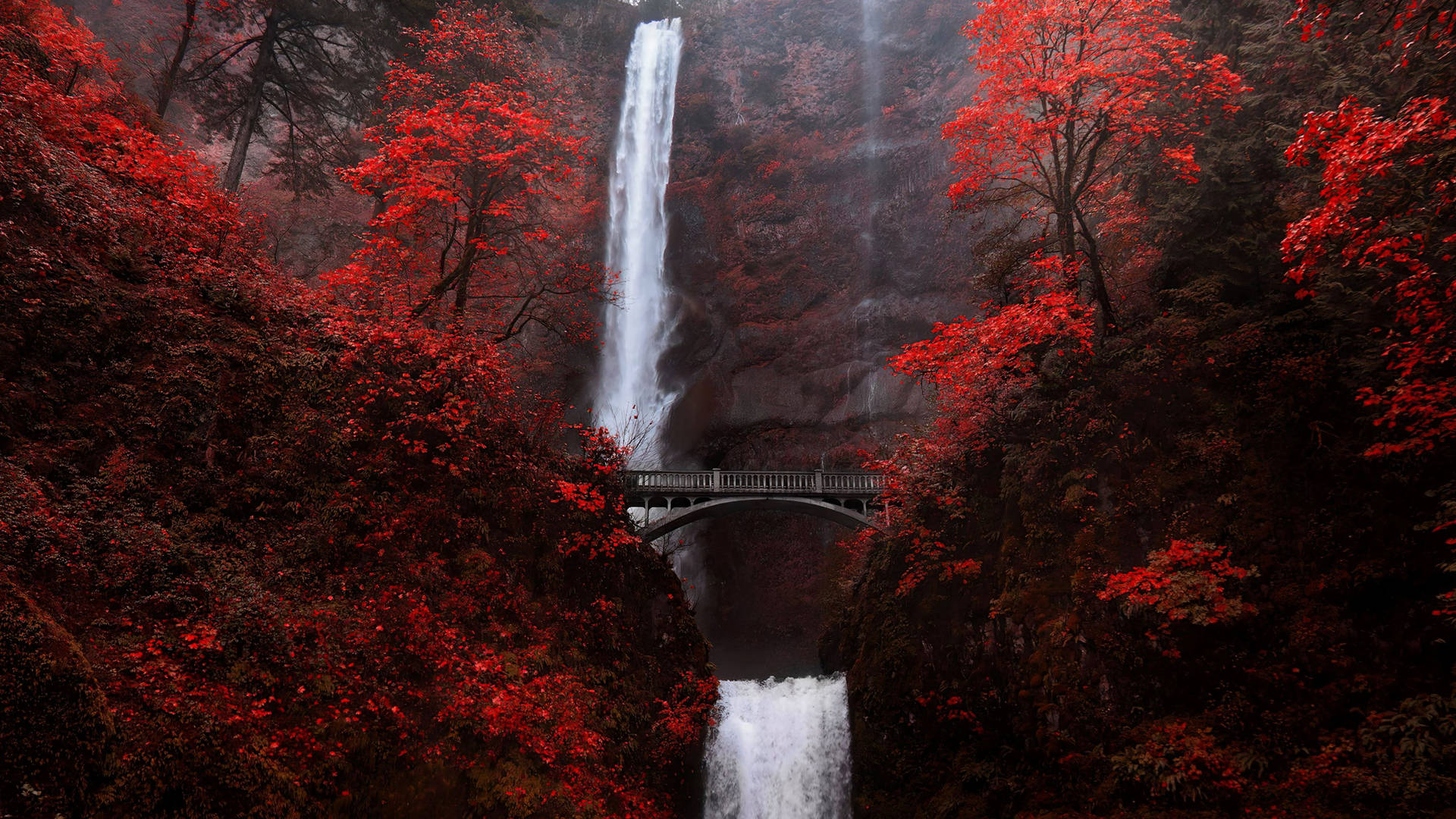 Oregon Multnomah Waterfall Wallpaper