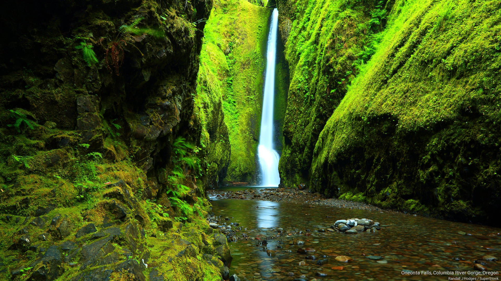 Oregon Oneonta Gorge Falls Wallpaper