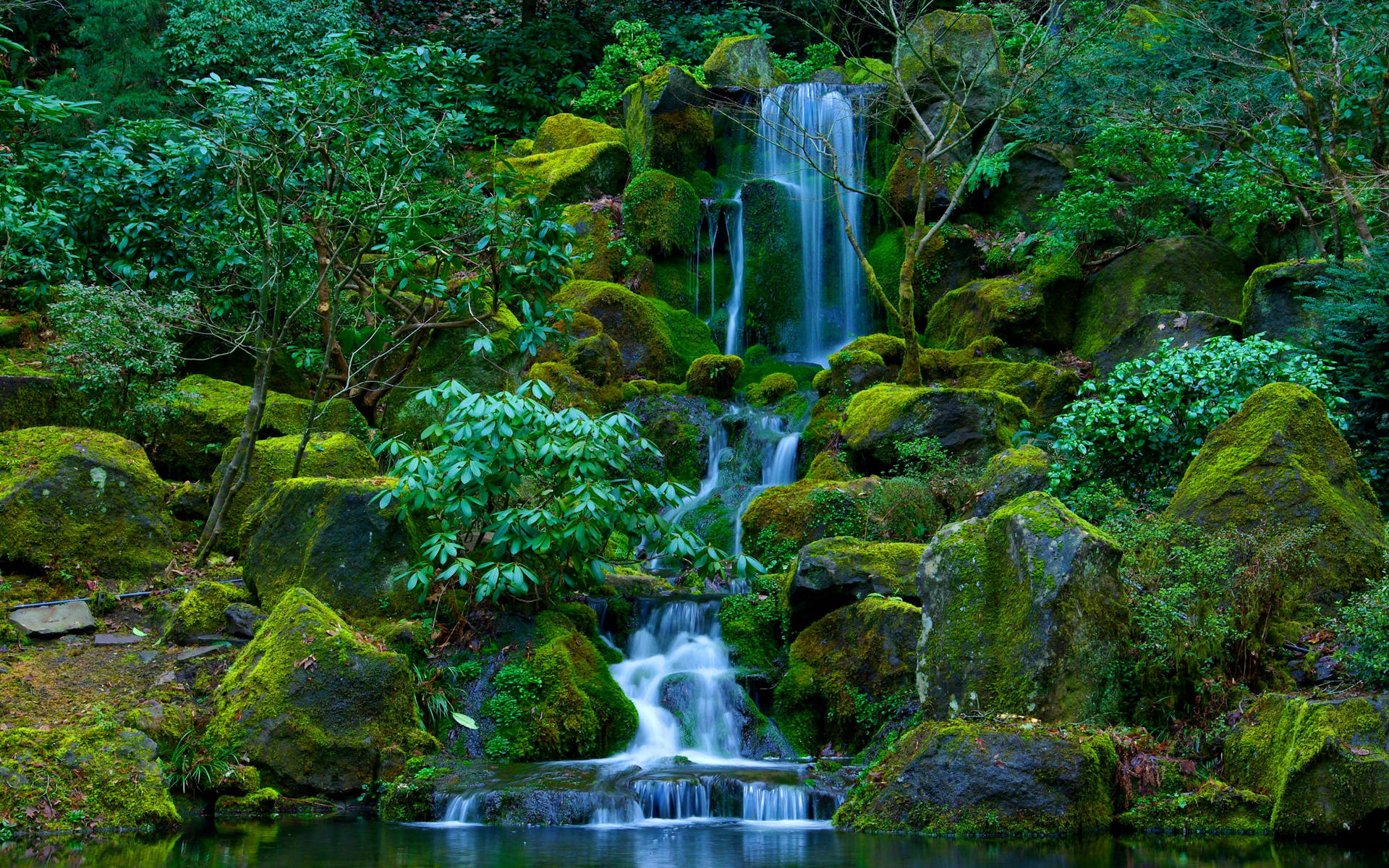 Oregon Portland Japanese Garden