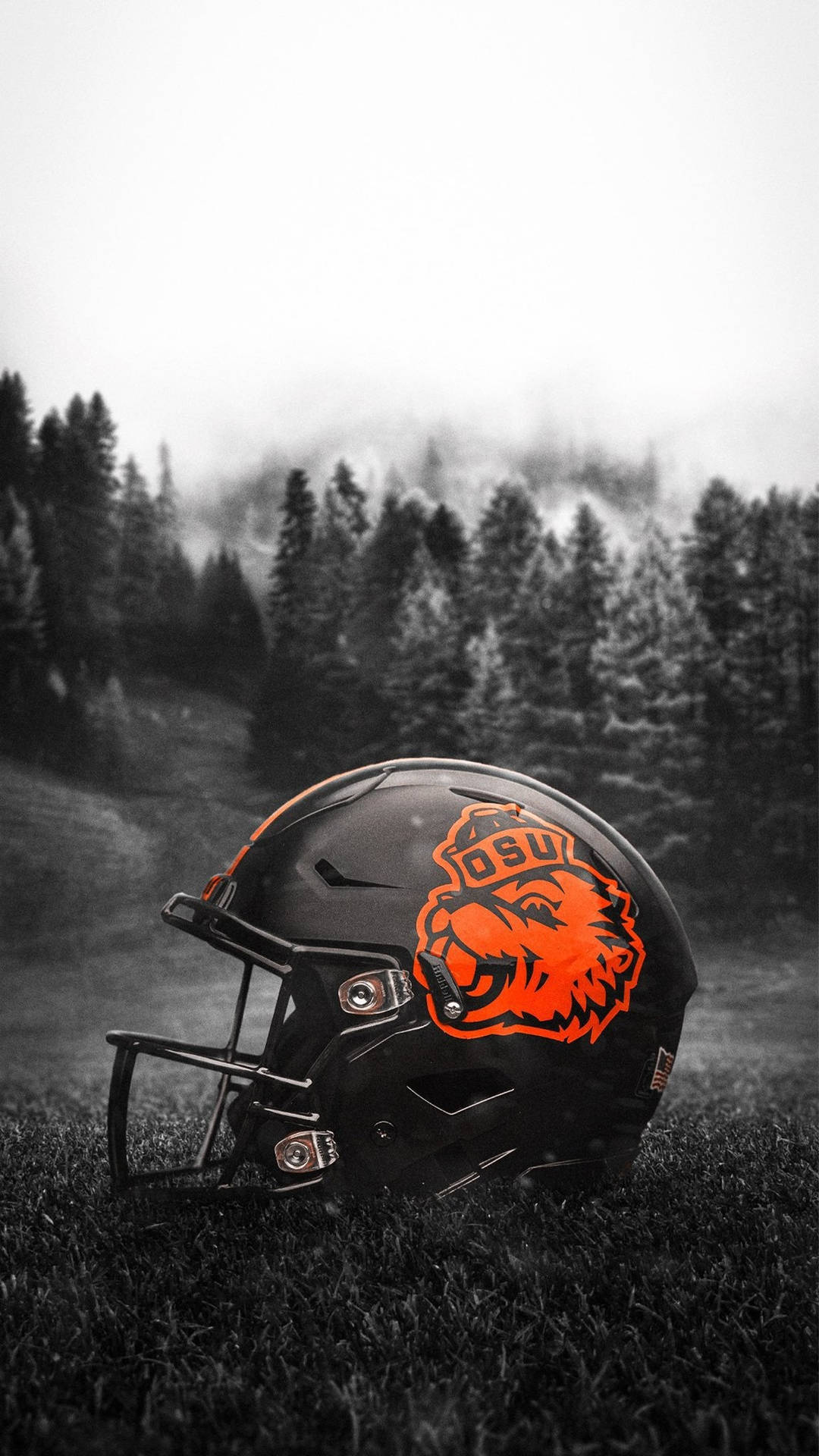 Oregon State University Football Helmet Wallpaper