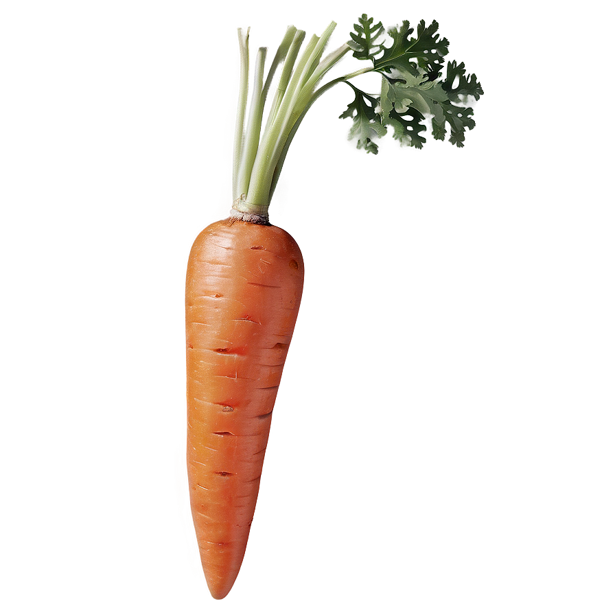 Organic Carrot Png 06132024 PNG