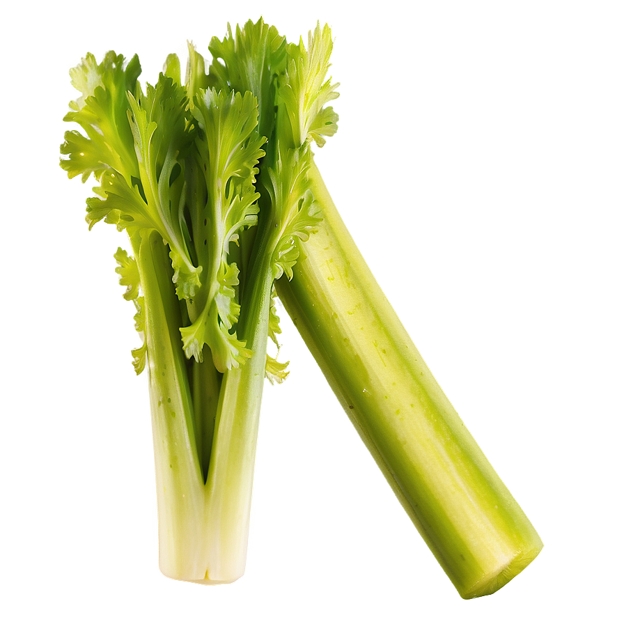 Organic Celery Stick Png 66 PNG