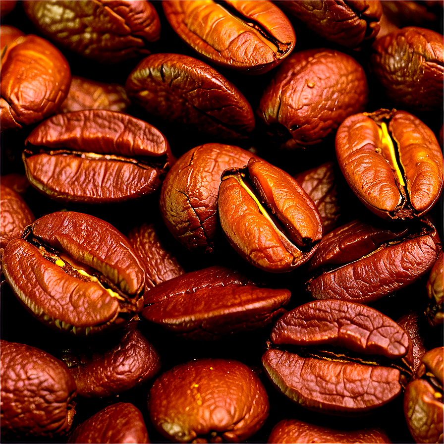 Organic Fair Trade Coffee Beans Png Civ55 PNG