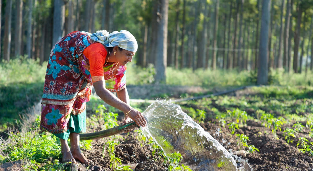 Soaring High: Agricultural Drones In India - %