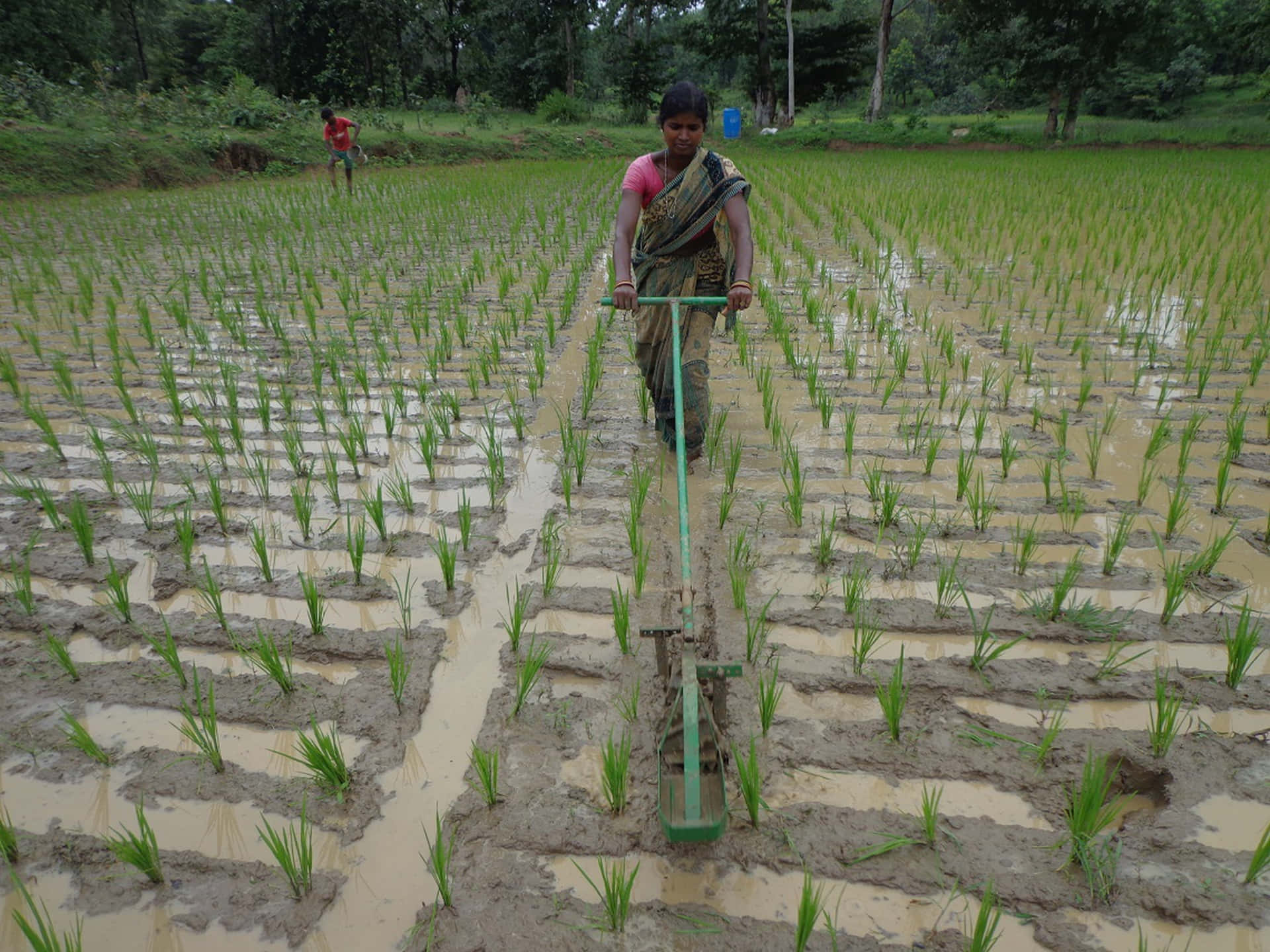 Farmer cultivating the field at an organic farm Wallpaper