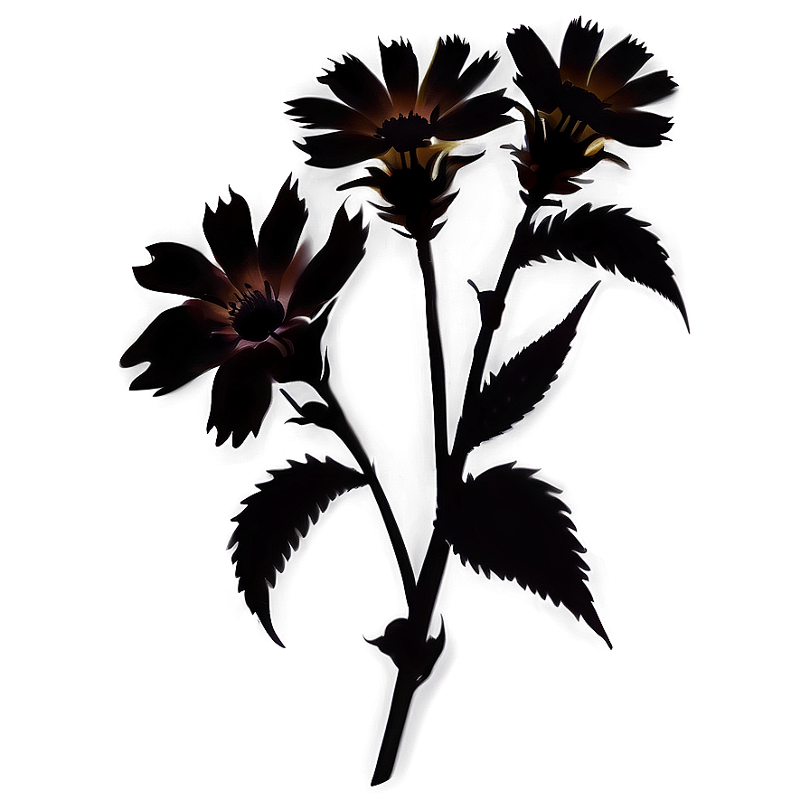 Organic Flower Silhouette Png 06262024 PNG