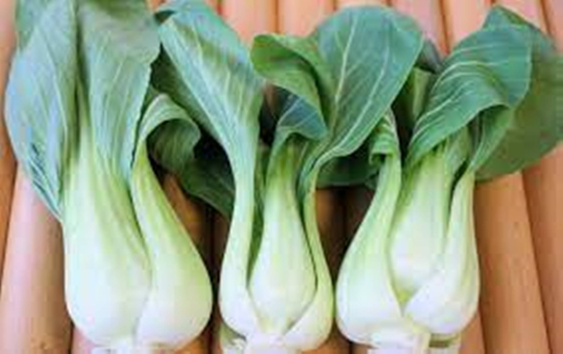 Organic Fresh Bok Choy Cabbages Wallpaper