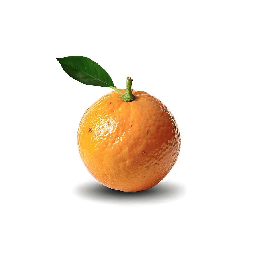 Organic Fresh Orange Png 5 PNG