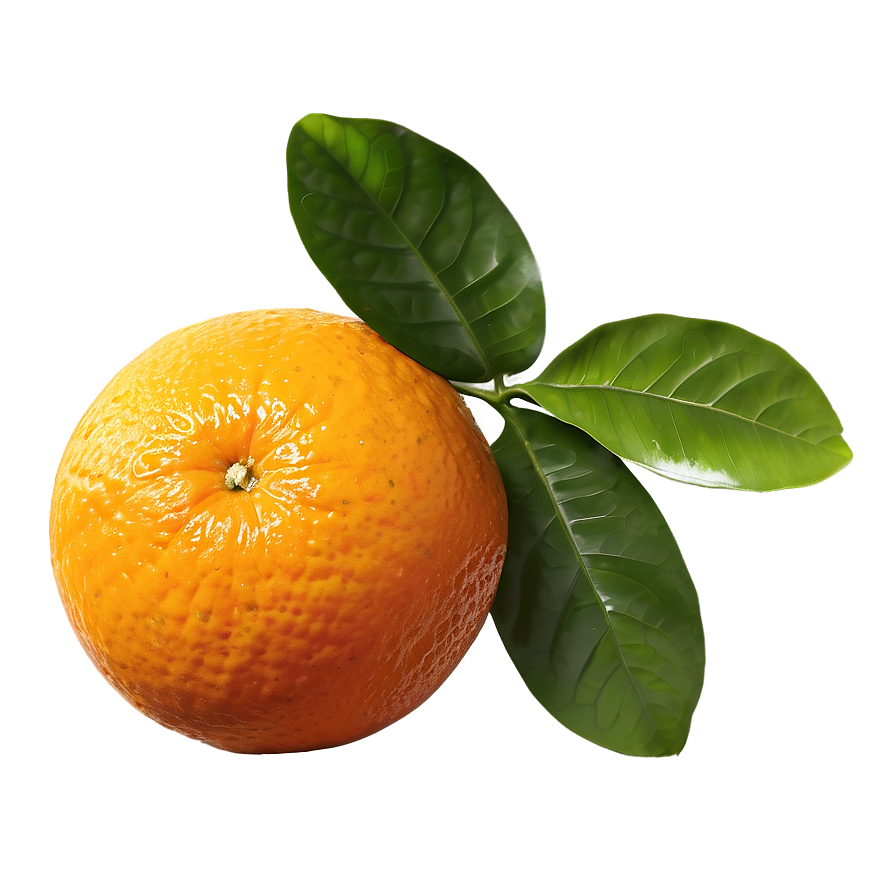 Organic Fresh Orange Png Hen PNG