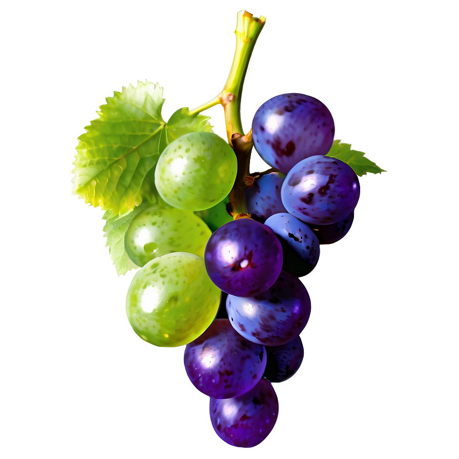 Organic Grape Png 27 PNG