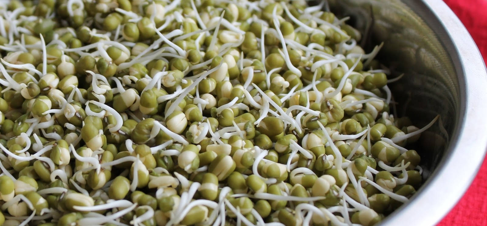 Organic Green Bean Sprouts Vegetable Picture