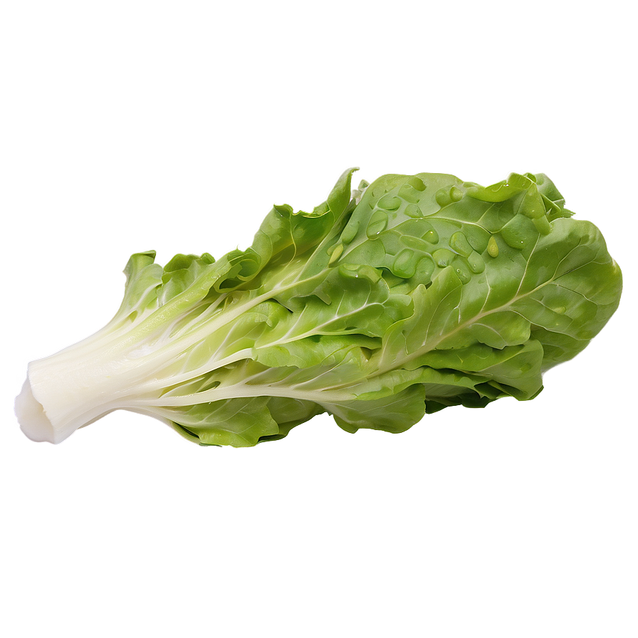 Download Organic Green Lettuce Png Byw | Wallpapers.com