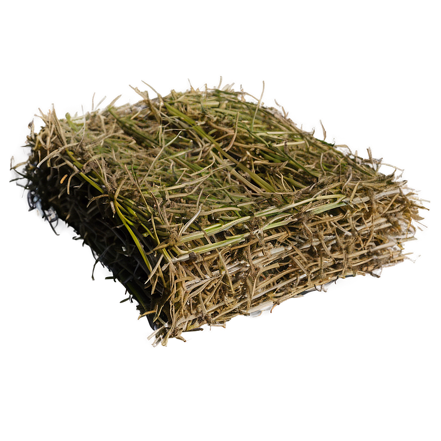 Organic Hay Bed Png Nru68 PNG